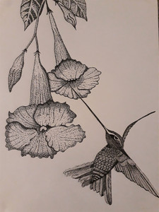 Carrie-Anne, Hummingbird.jpg
